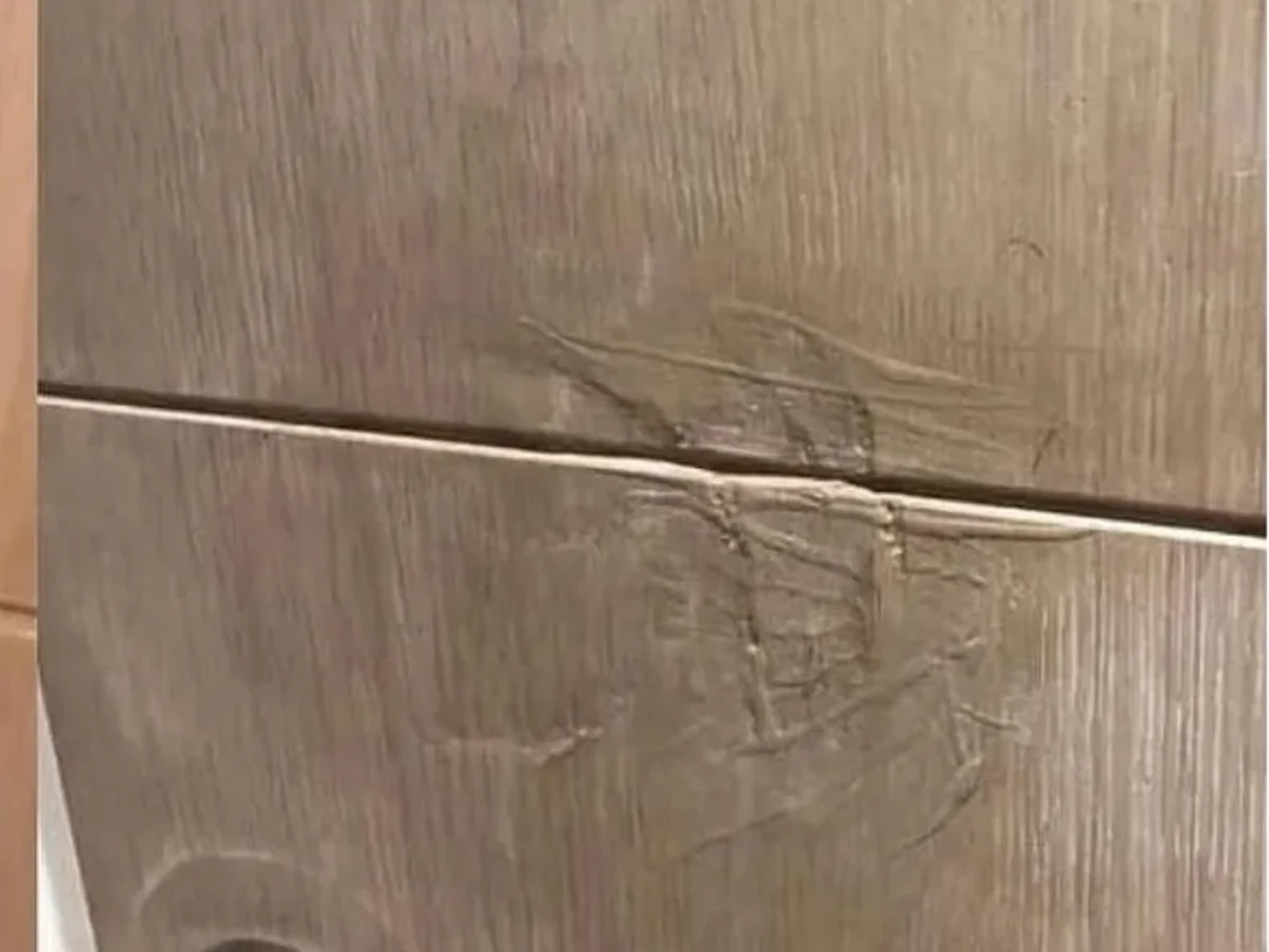 Timber door surface restoration before repair